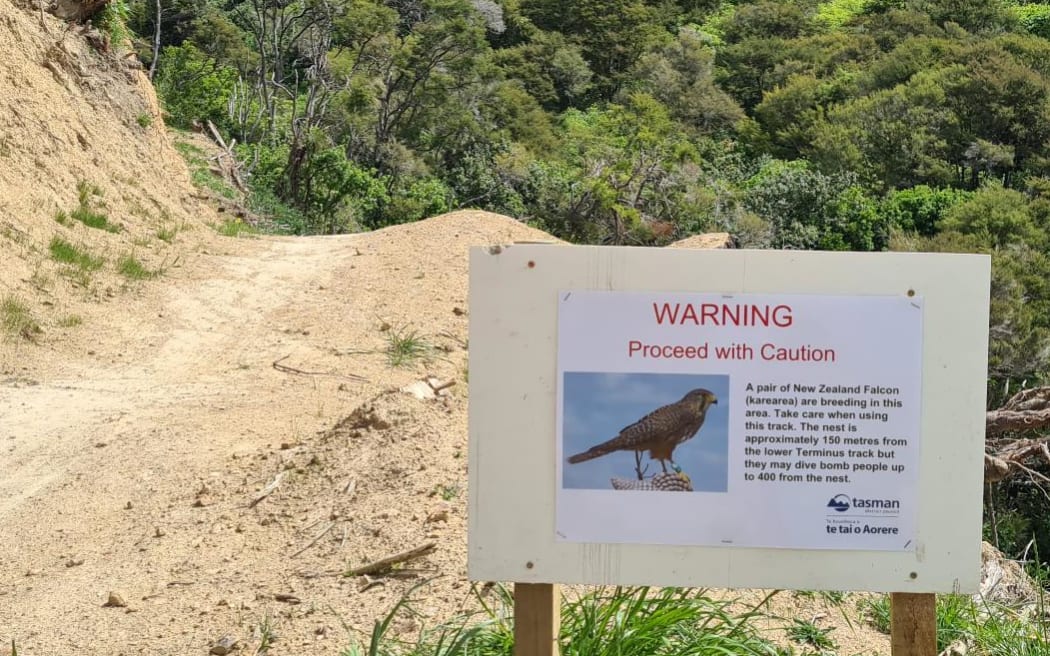Signage warning of nesting falcons in the Lodestone Gully, Tasman.