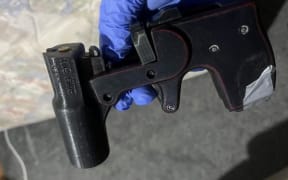3D printed .22 pistol and ammunition.