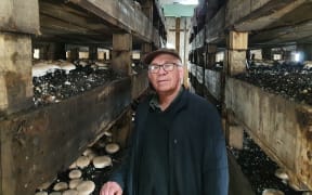 Clive Thompson of Parkvale Mushrooms