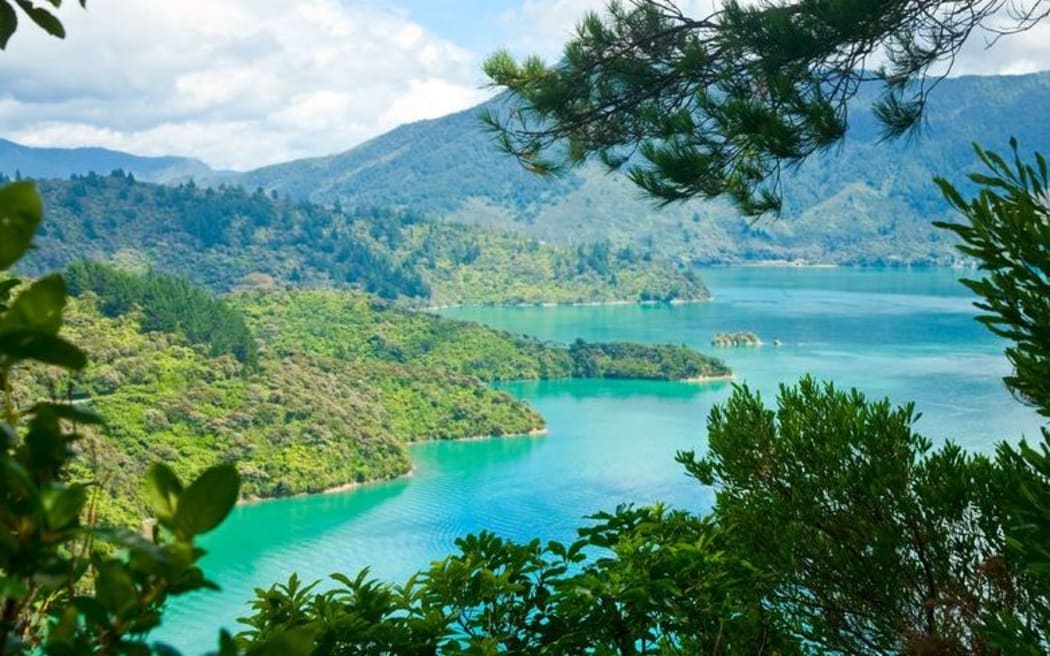 Marlborough Sounds as seen from Queen Charlotte Track.