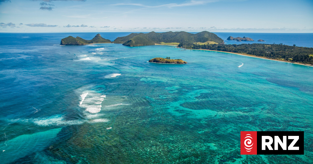 Student rediscovers 'extinct' cockroach on Lord Howe Island | RNZ News