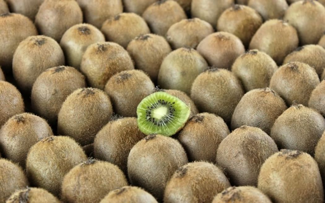 Green kiwifruit growers got their highest ever return per hectare of $53,884 and just over $6 a tray.