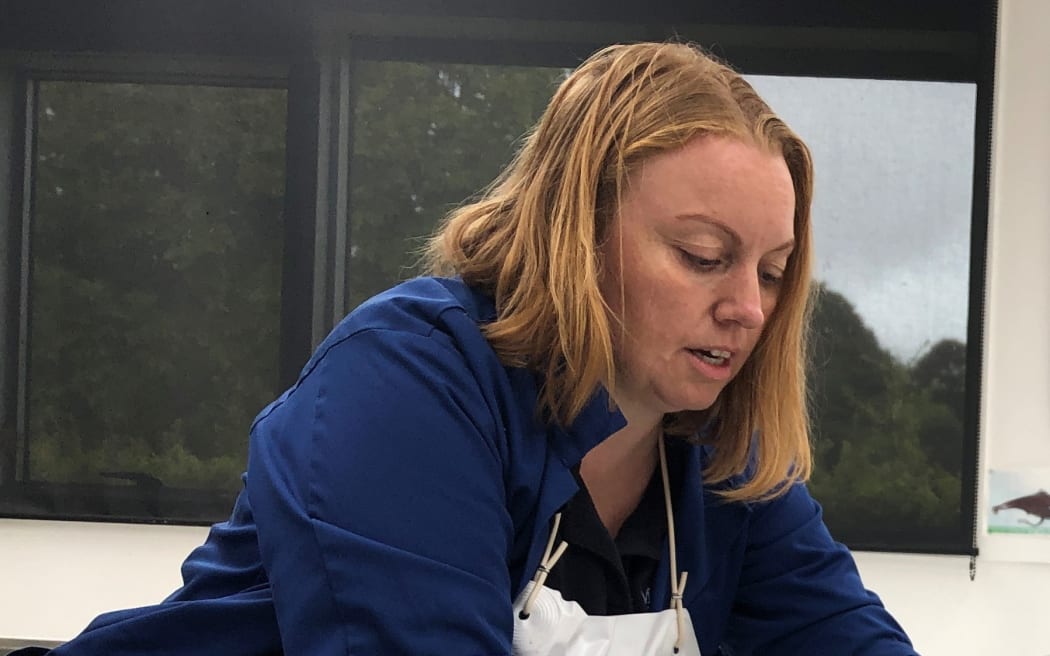 Massey University Professor Karen Stockin