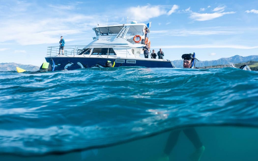 A diver in the water next to a boat.