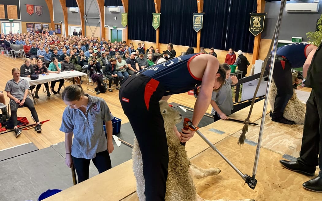 Feilding High School's hall became a woolshed as the school held it's annual shearing competition, 4/06/2025.