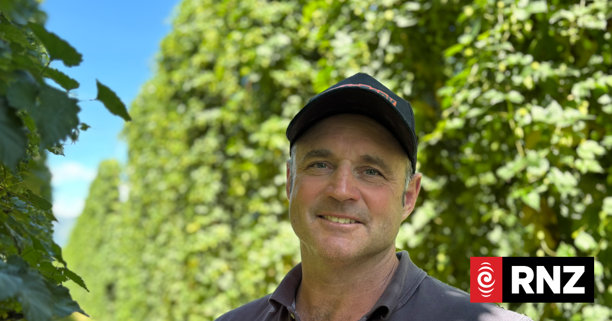 NZ Rhapzody, the new hop off the trial block