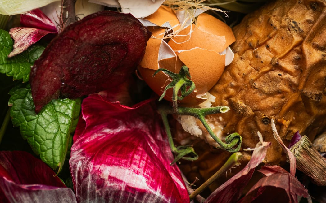 A pile of food scraps, including egg shells, onion skin, baked potato jacket skin and corn husk.