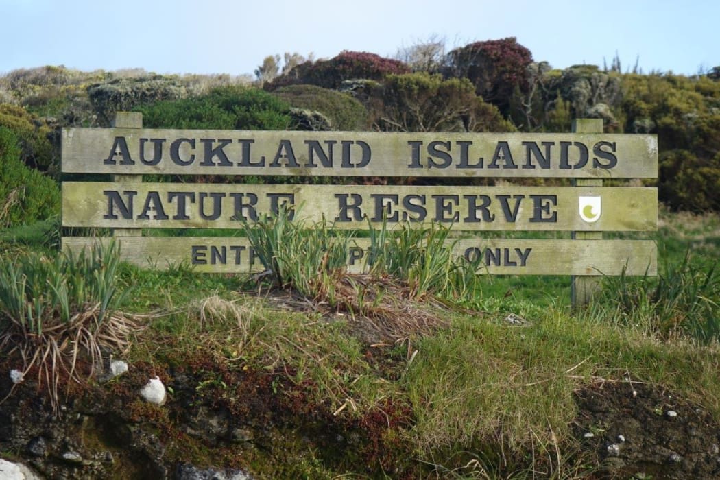 Auckland Islands.