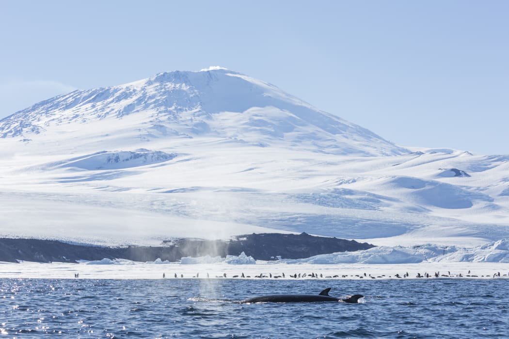 McMurdo Sound.