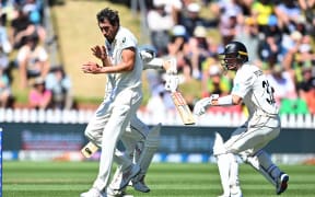 Black Caps batter Kane Williamson and Will Young collide behind Australia’s Mitchell Starc, leading to Williamson's dismissal.