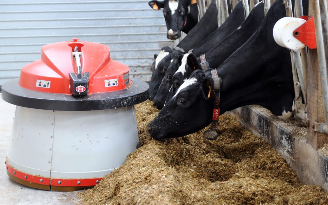 Robots can help reduce waste by keeping the feed pushed up to where cows can reach it.