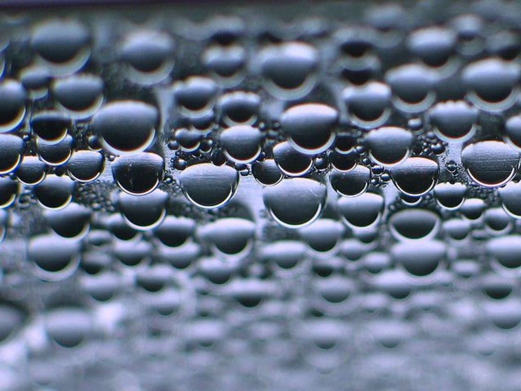 Water Drops