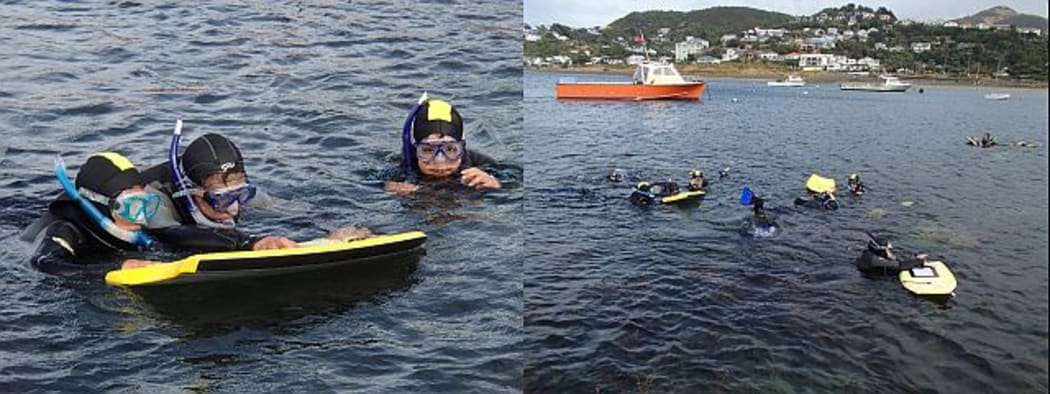 During the snorkelling each buddy pair of students swims with an adult helper who manages the body board that they all hold onto for support as they're looking underwater. Island Bay (right) is filled with enthusiastic snorkellers.