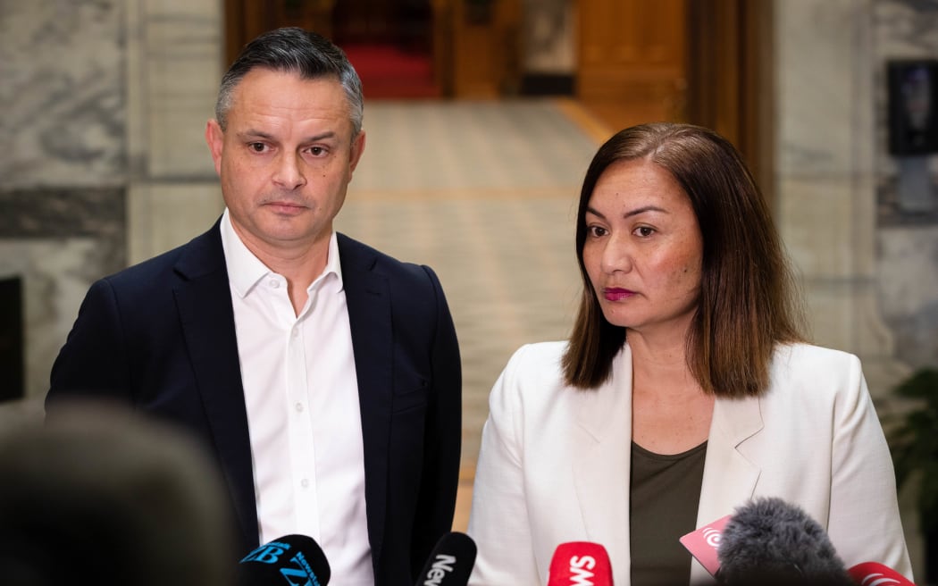 Green Party co-leaders Marama Davidson and James Shaw.