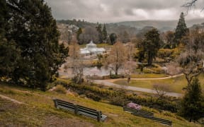 Dunedin's Botanic Garden