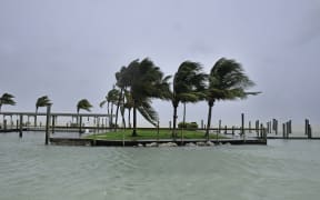 Palm trees blow in the high wind in the Florida Keys.