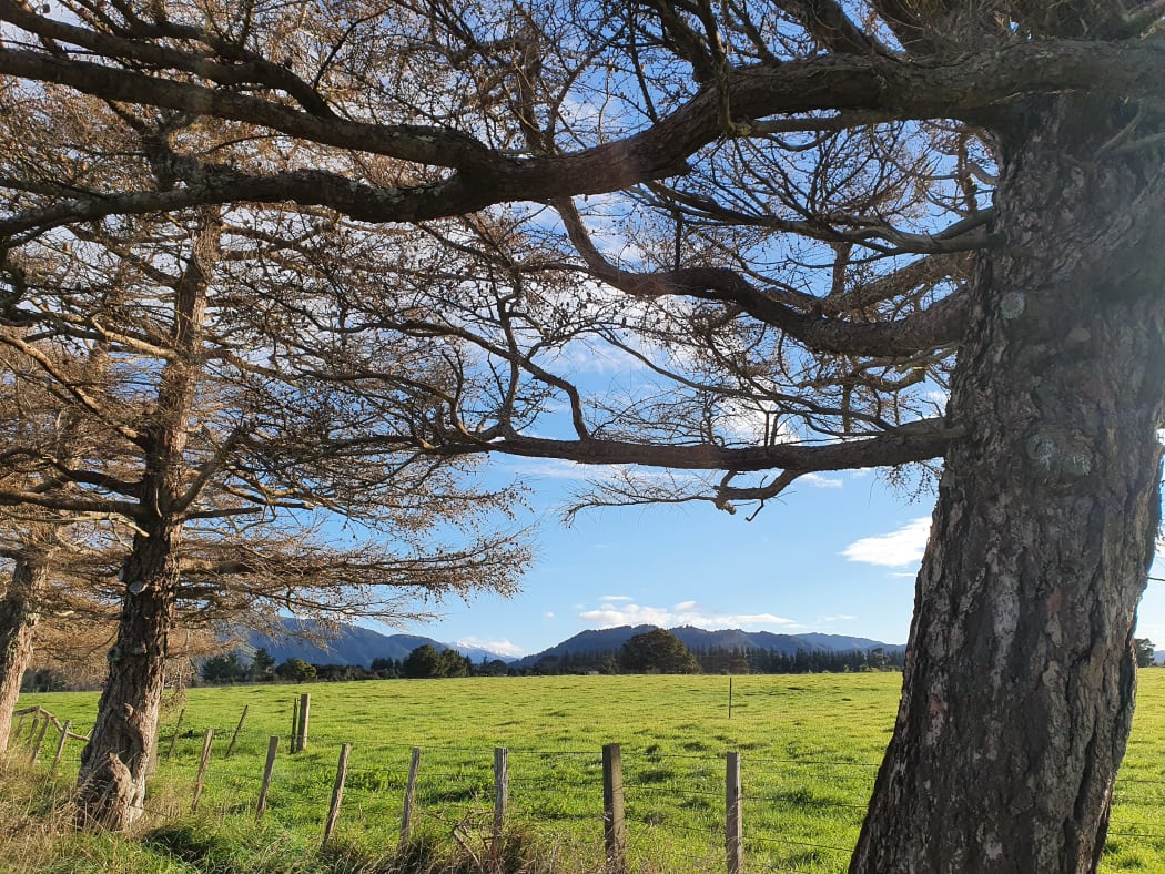 Wairarapa farmland in August