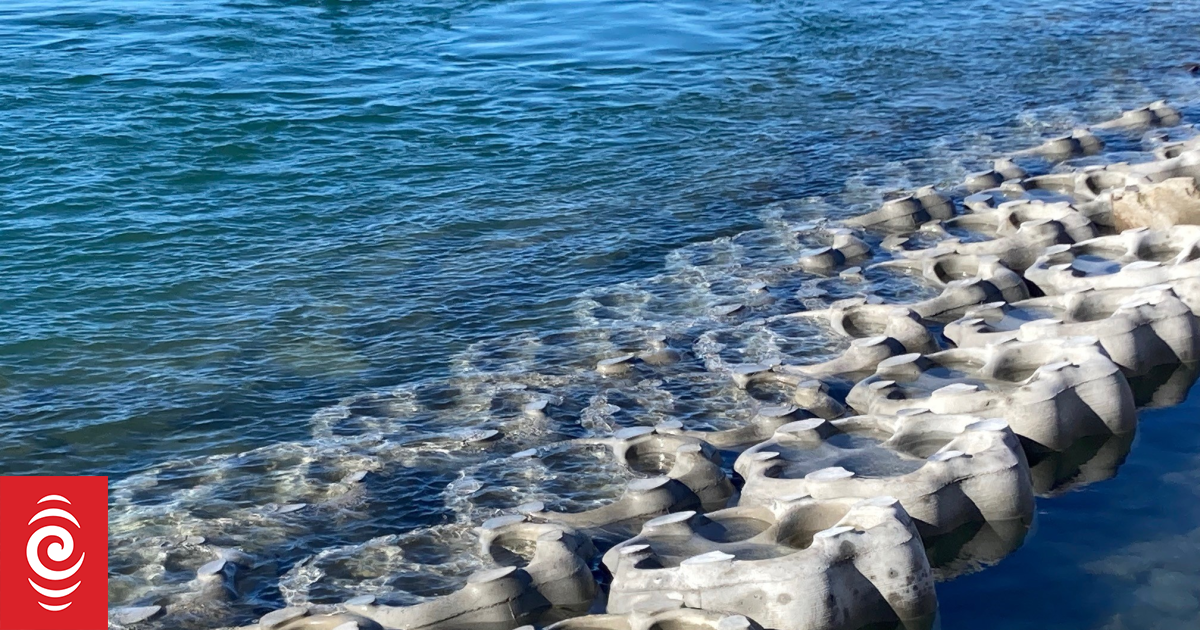 Our Changing World: Tauranga’s living sea wall
