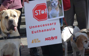 Dogs were part of a protest outside Parliament against euthanasing lab animals