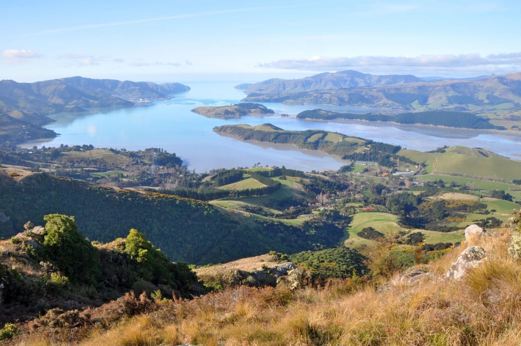 Lyttleton Harbour.