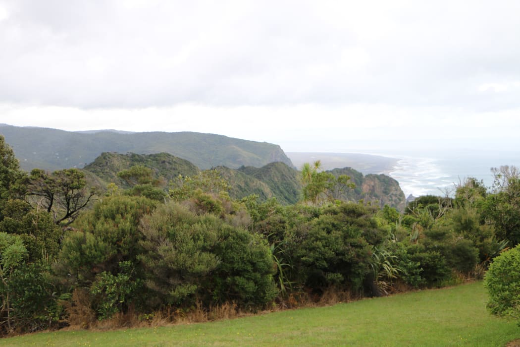 Near the top of Ahuahu Track near where the search party is based.