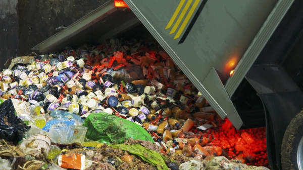 Food going to waste in Auckland.