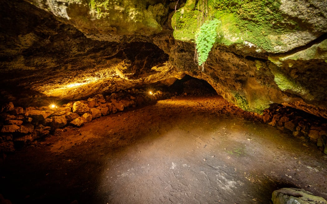 A wide shot of the interior of a cave lit by warm lights, with moss and a fern hanging from the ceiling.