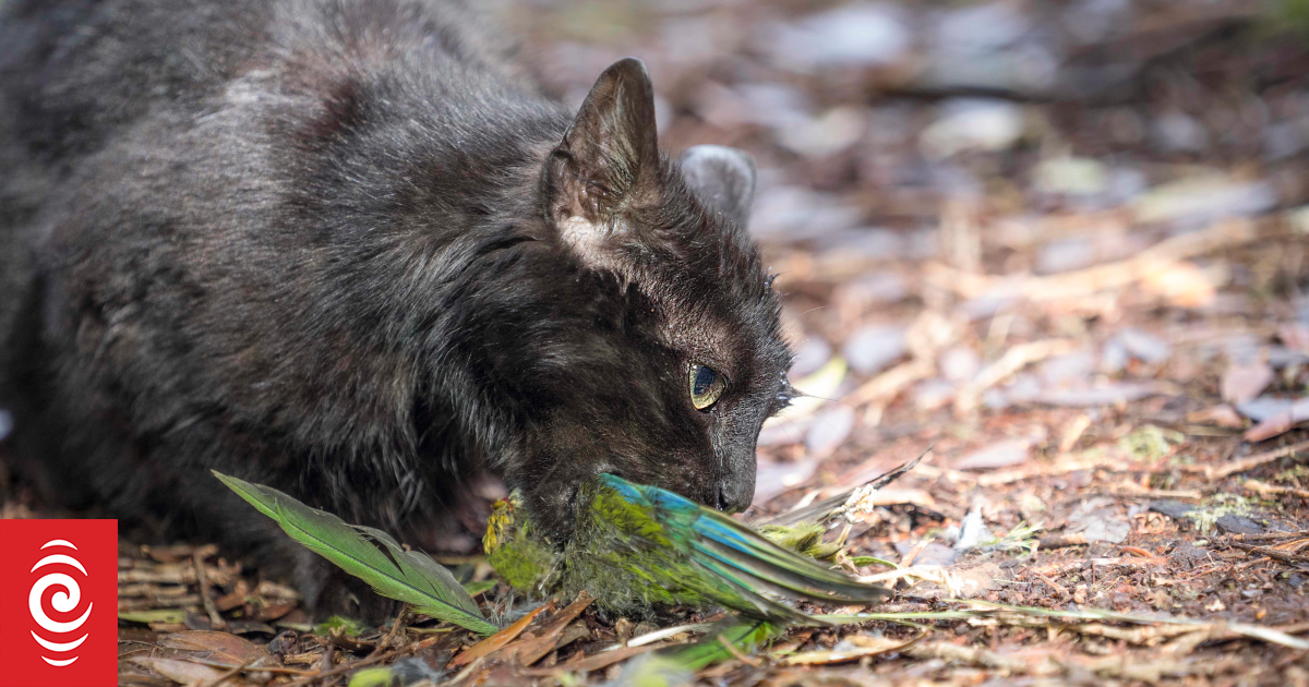 Sausage used as secret weapon in war against feral cats