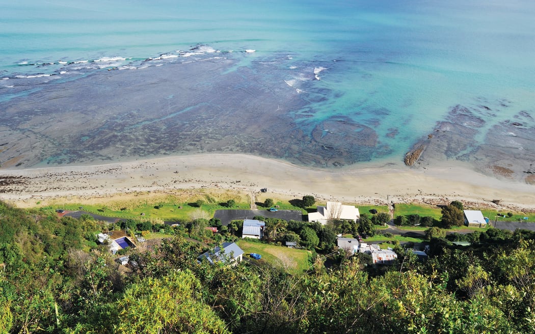Gisborne's Kaiti Beach is a popular spot for locals, but walking your dog there could soon be a thing of the past.