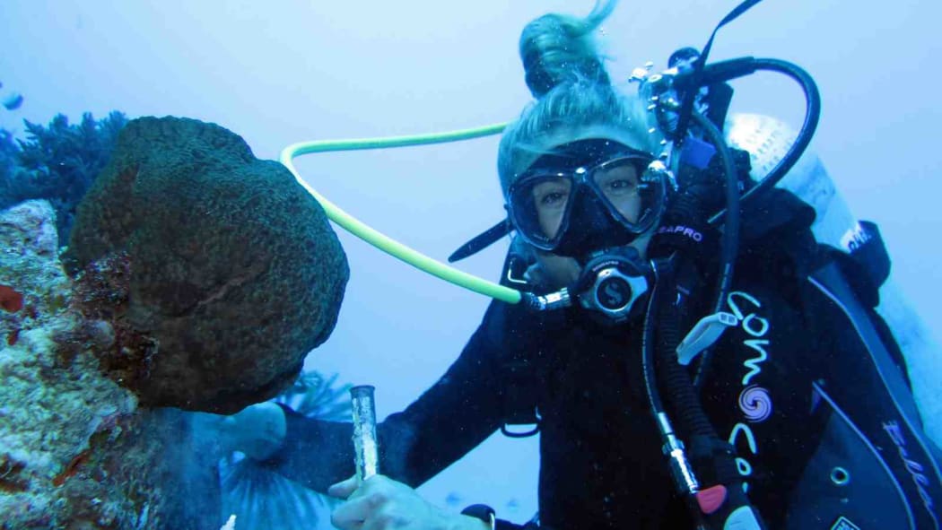 Holly Bennett collecting sponges on the Great Barrier Reef