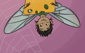 Stop bugging me!