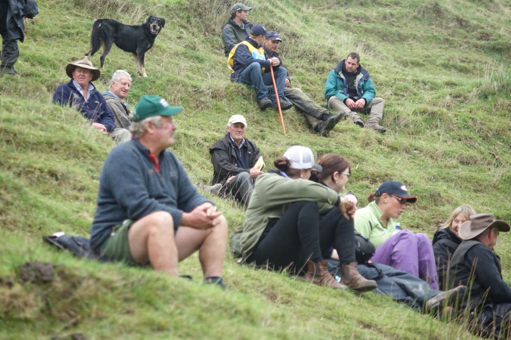 Dog Trials huntaway crowds