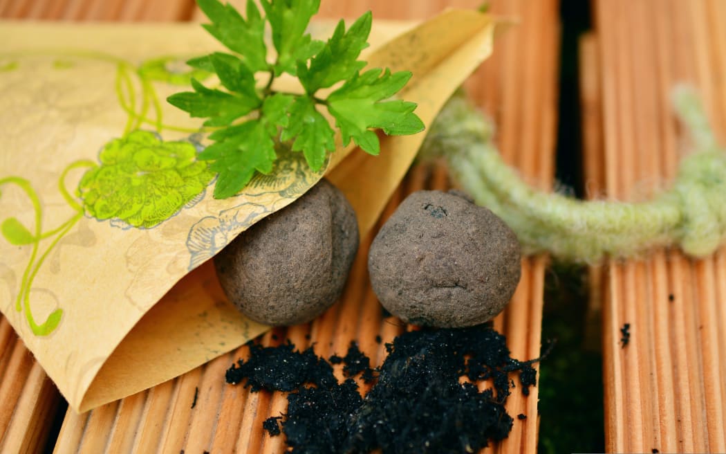 Seed bombs