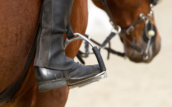Dressage horse and a rider