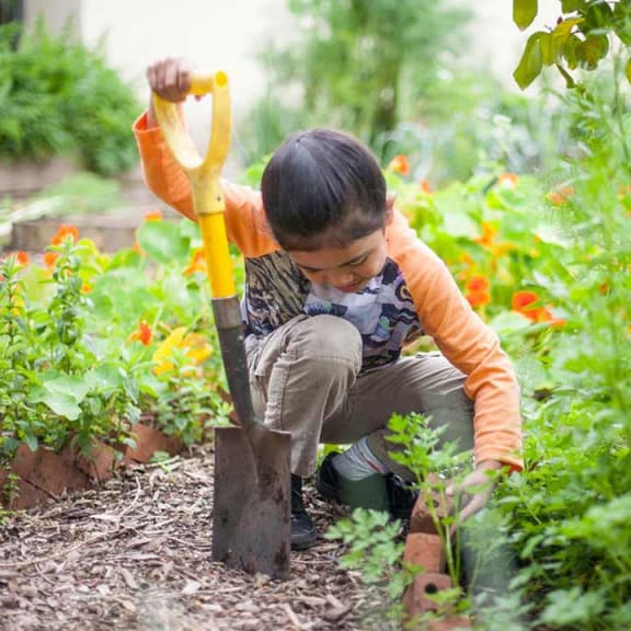 An Owaiaraka School student participating in the Garden to Table programme - one of the charities supported by the One Percent Collective.
