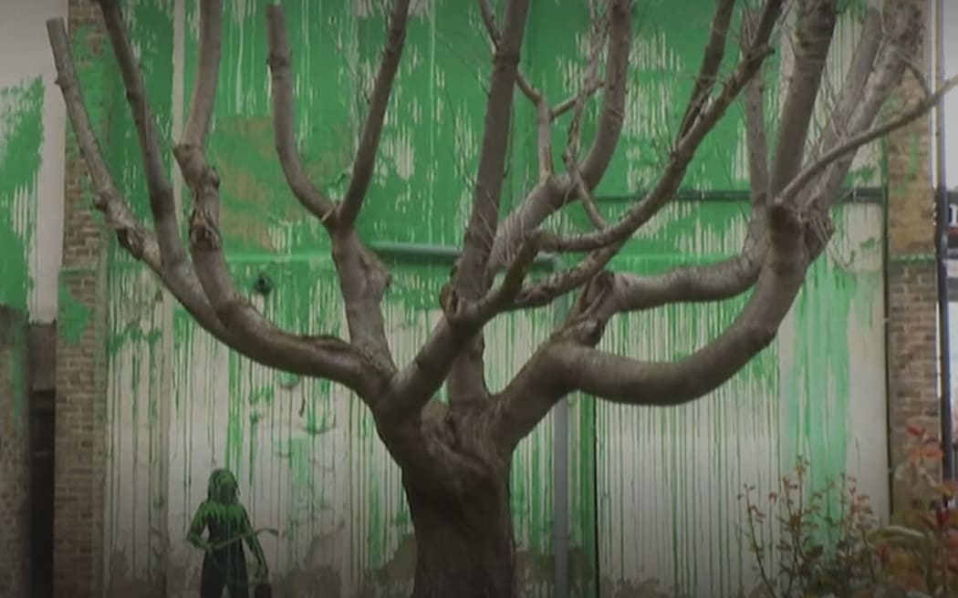 Banksy: Artist confirms new London tree mural is his own work