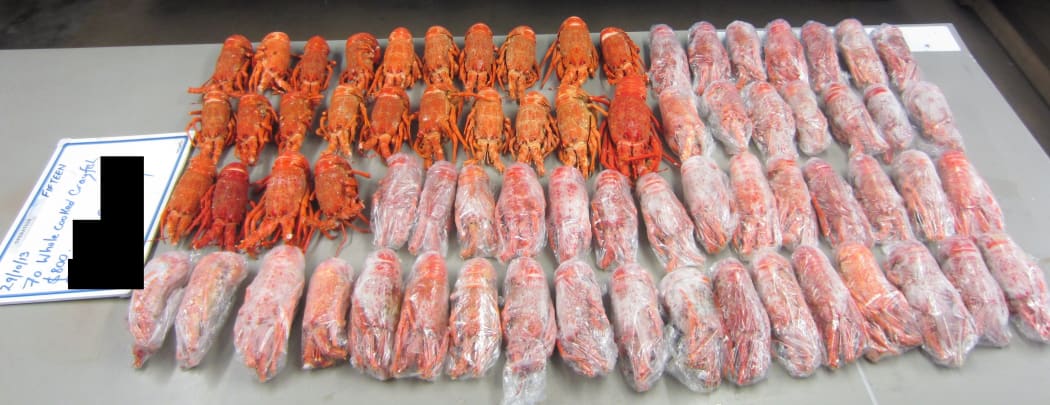 The rock lobsters sold to the undercover police officer.