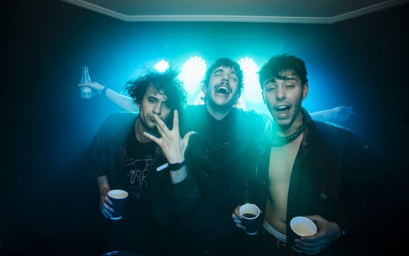 The Parrots