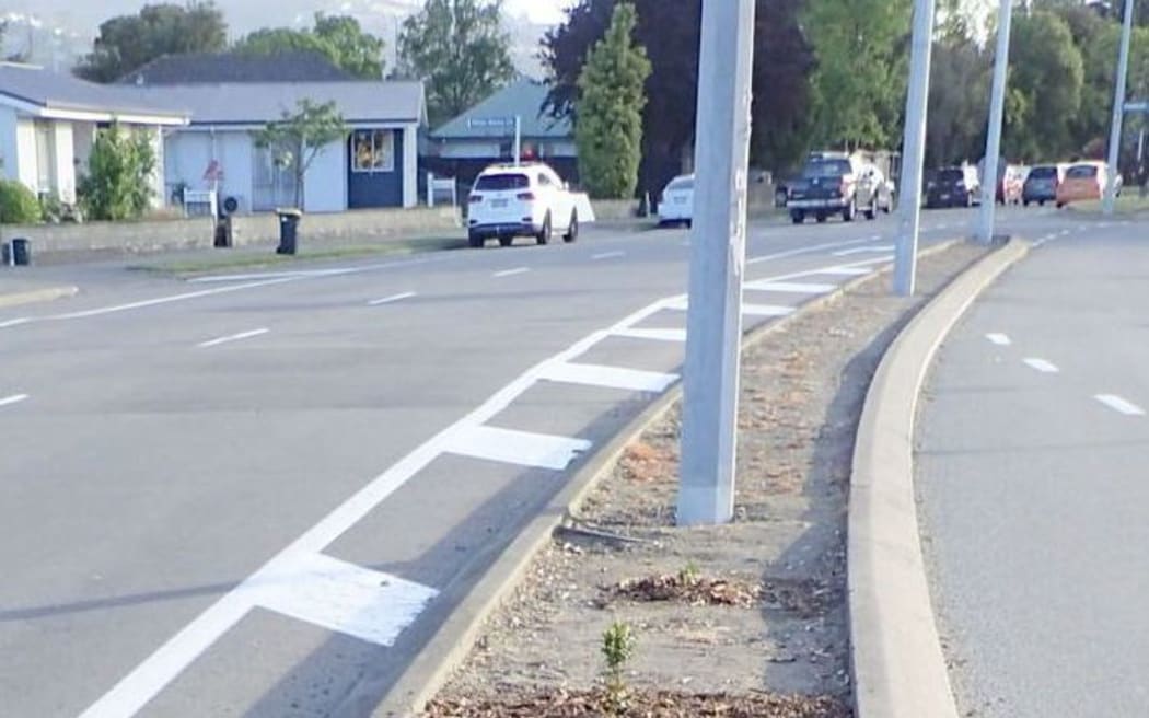 The Christchurch berm before Ling's green thumbs worked their magic.