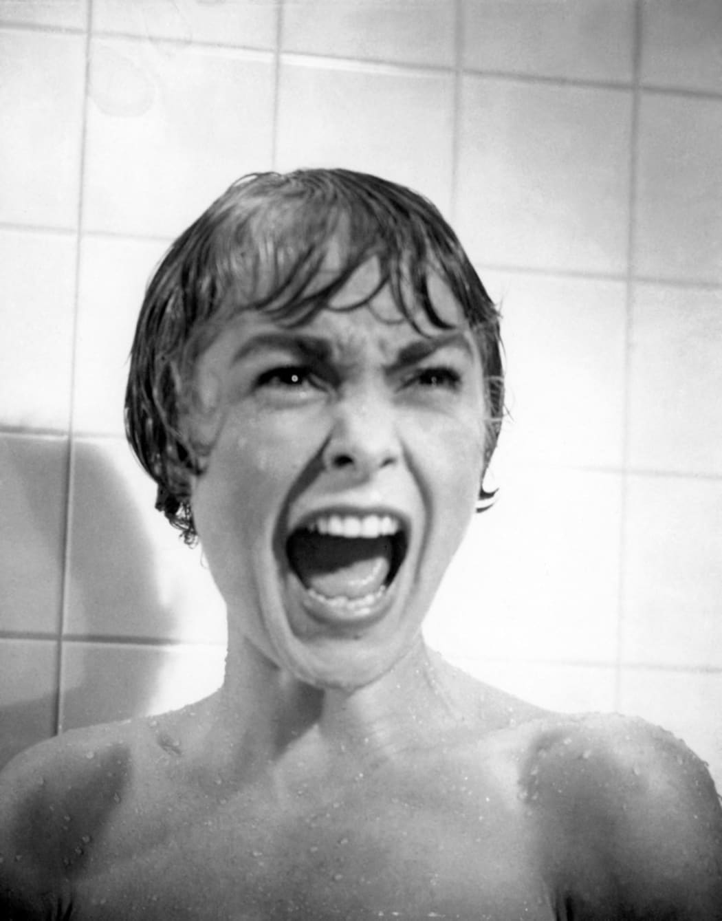 Psychose
Psycho
1960
Real  Alfred Hitchcock
Janet Leigh.
Collection Christophel / RnB © Shamley Productions (Photo by Shamley Productions / Collection Christophel / Collection ChristopheL via AFP)