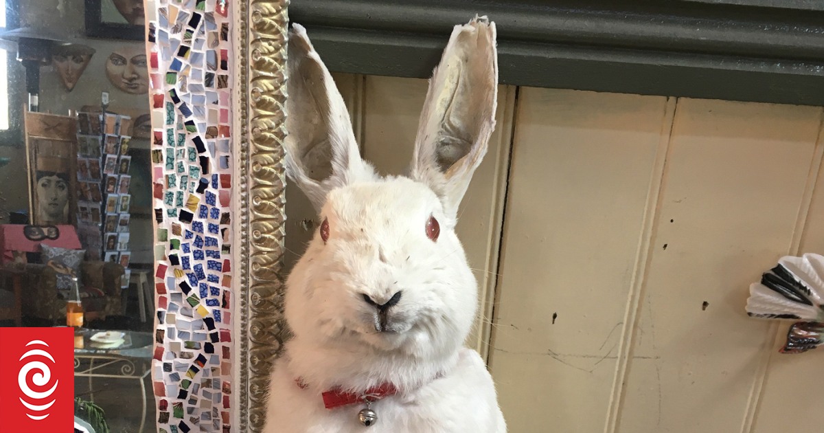 Vegan food in Oamaru RNZ News