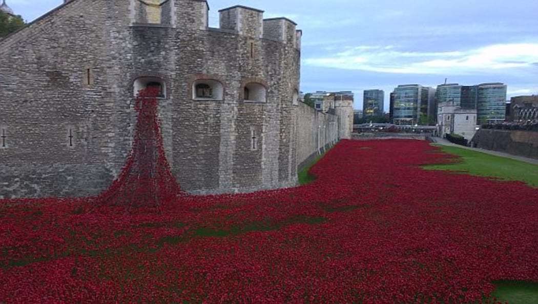 A sea of red poppies in grassed moat at Tower of London