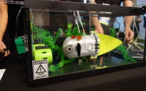 The robot fish combines artificial muscle and underwater sensor technologies.