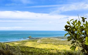 Whatipu beach, west coast, Auckland.