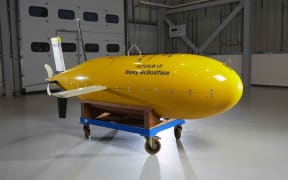 HANDOUT - The research submarine 'Boaty McBoatface', photographed at the National Oceanography Centre in Southampton, England, 12 January 2017.