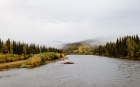 Canada, Yukon, Whitehorse, River and forest on cloudy and foggy day.