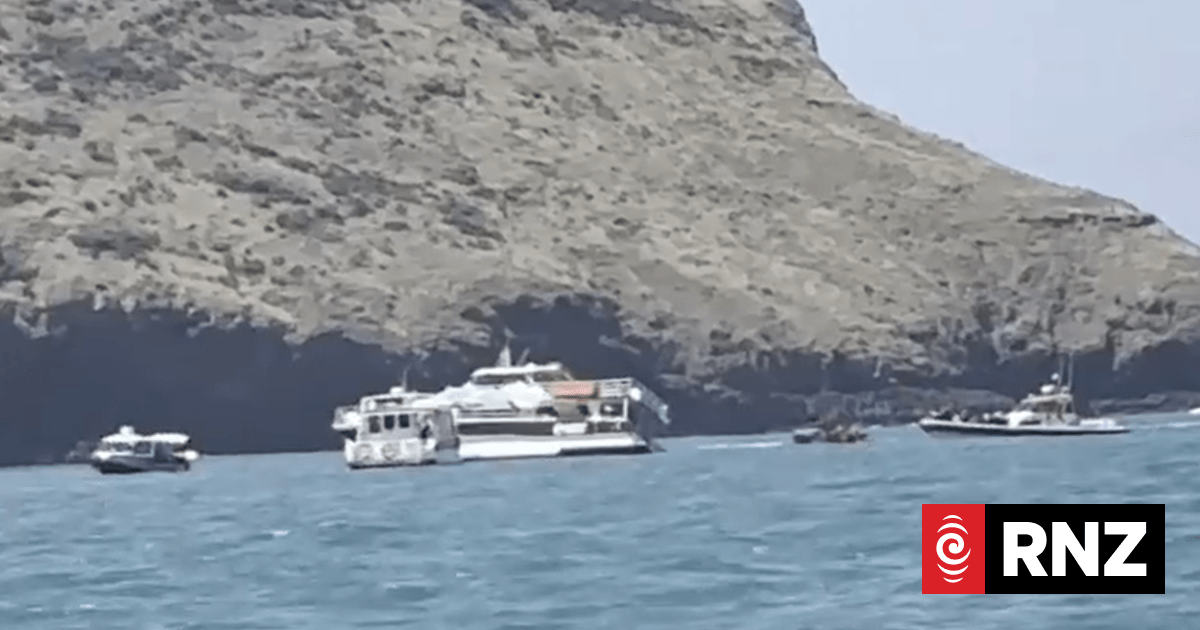 Appeal for witnesses as recovery of tourist boat grounded in Akaroa begins