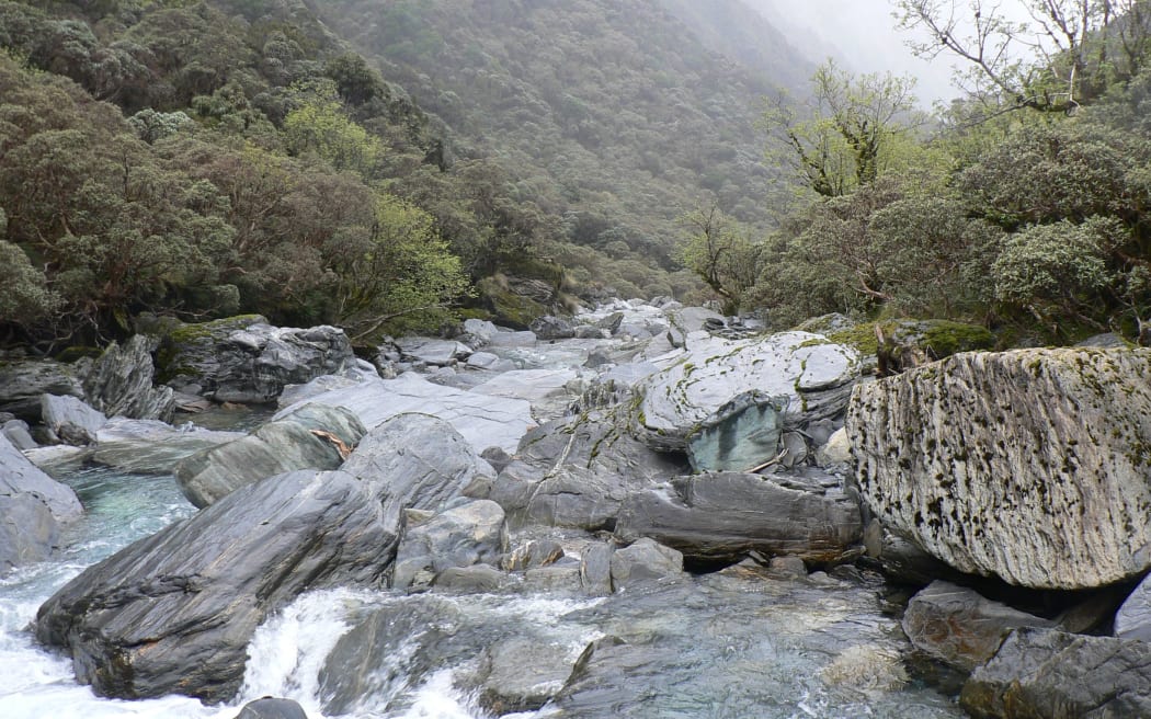 A riverbed in Westland