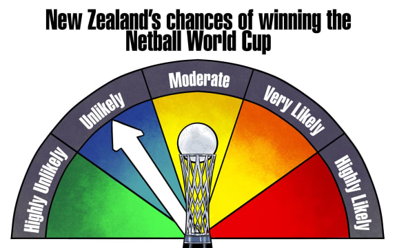 Year of the Cups Netball graphic