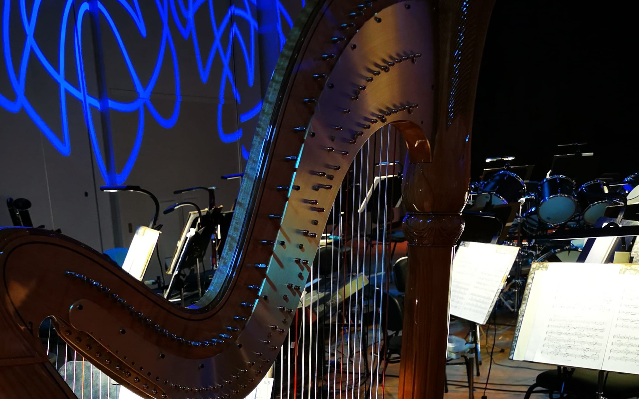 View from the harp - Sinfonietta concert from the NZSO's Shed Series